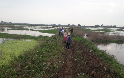 Hoằng Lưu ra quân làm thủy lợi mùa khô, phát quang cây cối, dọn rác kênh mương năm 2020 phục vụ sản suất năm 2021.